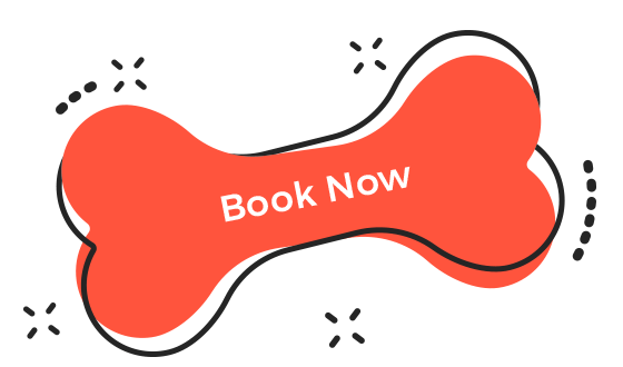https://petss.top/wp-content/uploads/2019/08/book_now.png