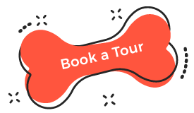 https://petss.top/wp-content/uploads/2019/08/book_tour.png
