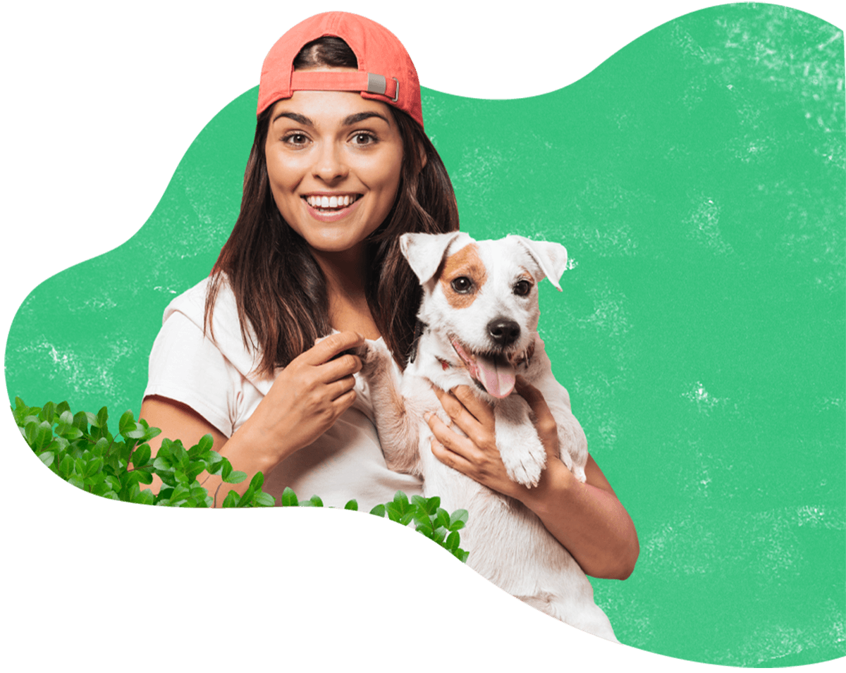https://petss.top/wp-content/uploads/2019/08/hero_image_13.png
