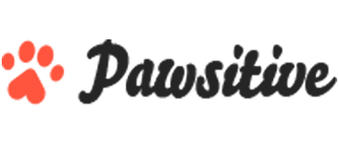 My Blog